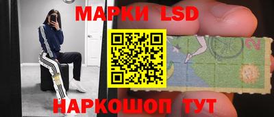 гидропоника Кингисепп