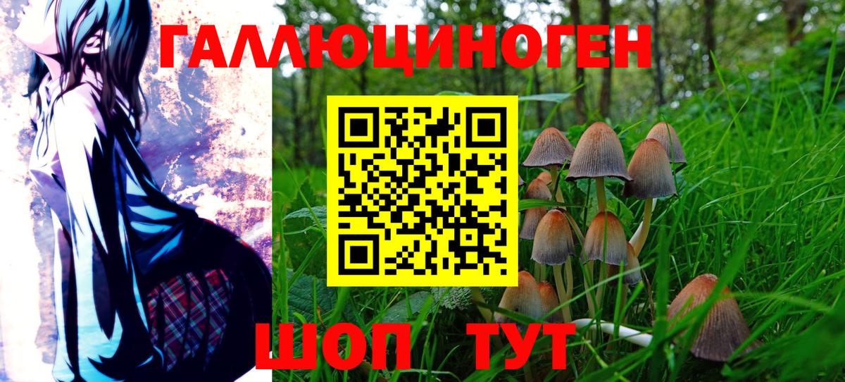 Кострома  Галлюциногенные грибы ЛСД  Вход с VPN 